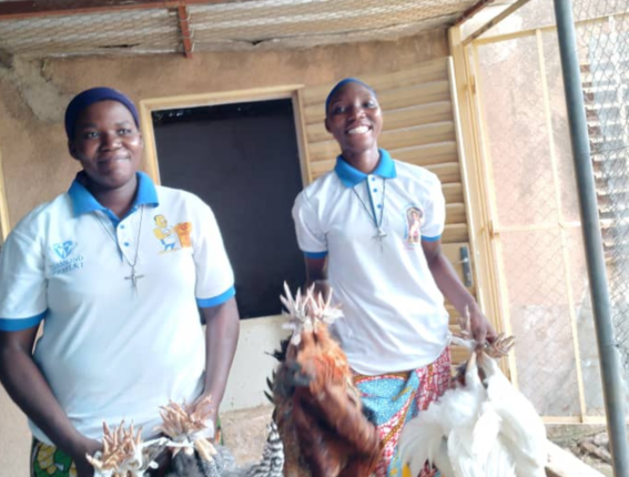 Sister Philomène tells us about the chicken coop project in Burkina Faso